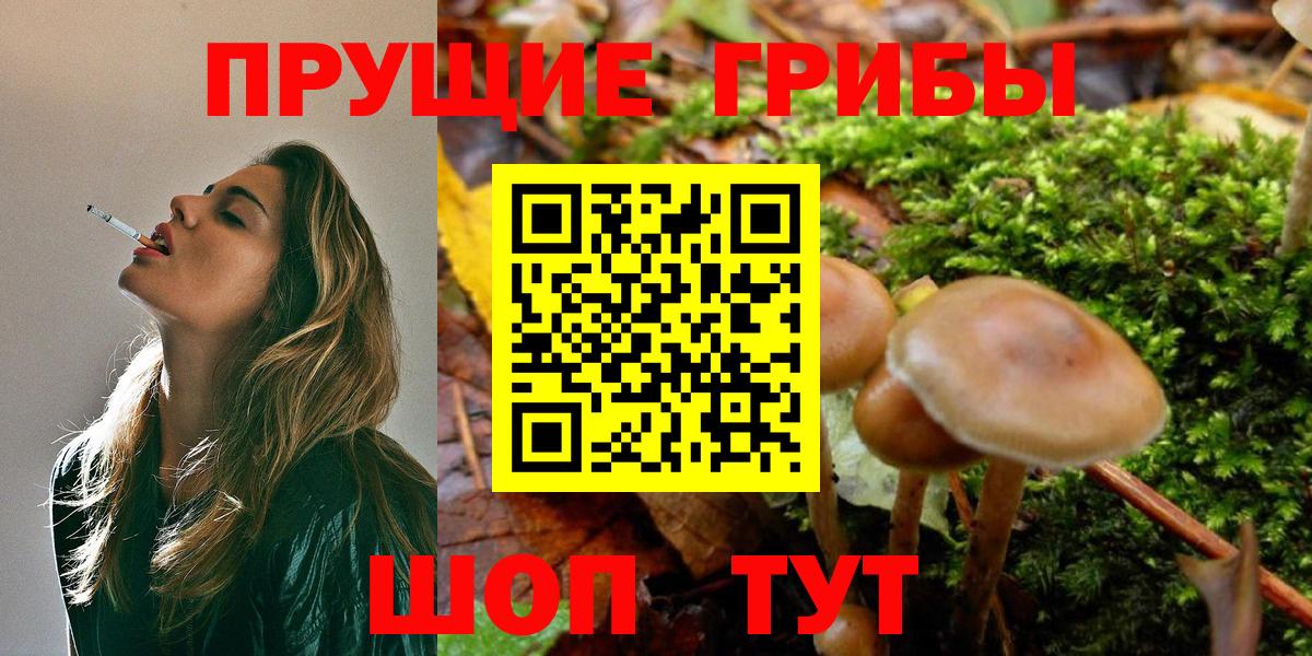 Галлюциногенные грибы GOLDEN TEACHER Кисловодск